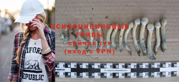 прущие крисы Бронницы